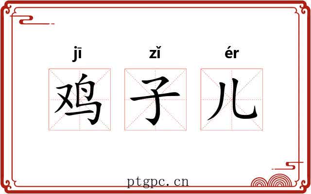 鸡子儿 鸡子儿
