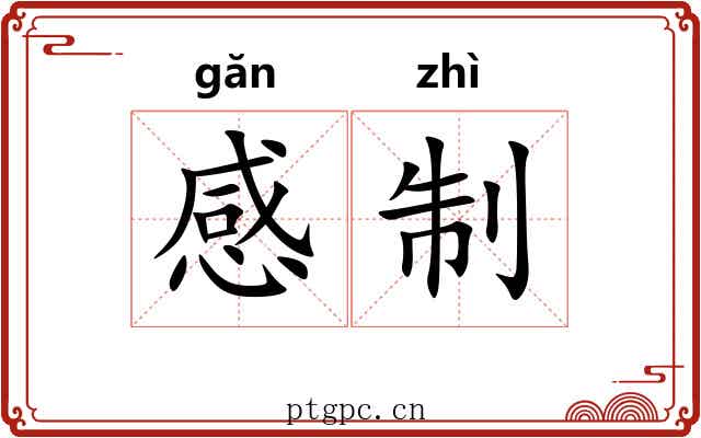 感制