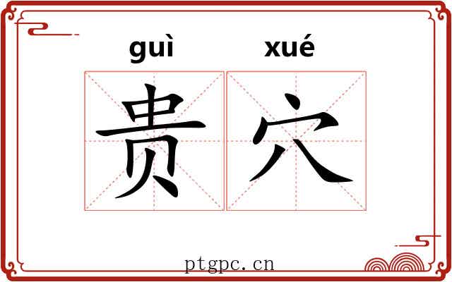 贵穴 贵穴