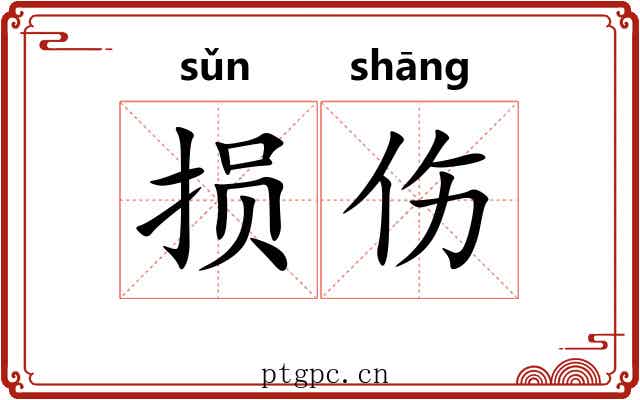 损伤 损伤