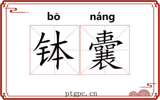 钵囊