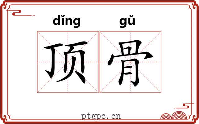 顶骨 顶骨