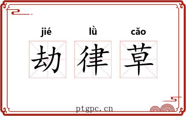 劫律草 劫律草