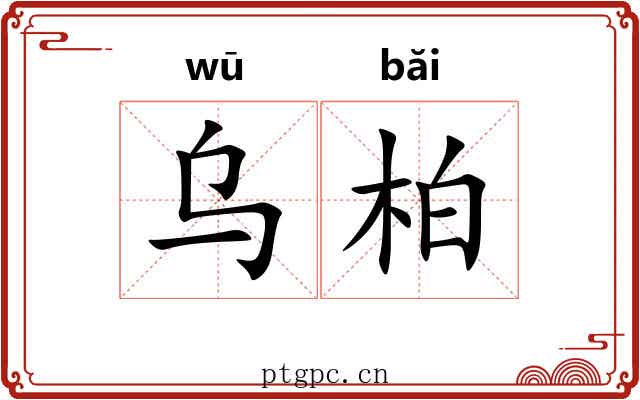 乌柏