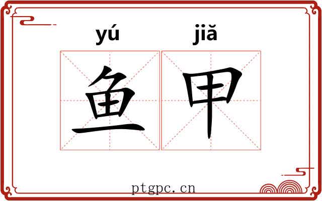 鱼甲 鱼甲