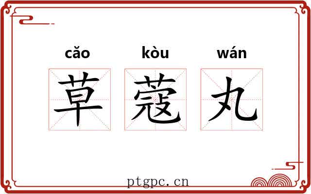 草蔻丸 草蔻丸