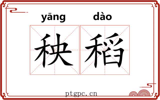 秧稻