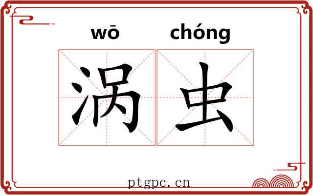 涡虫