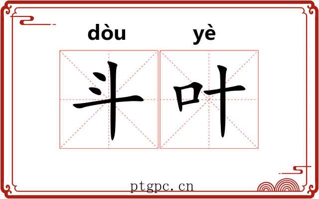 斗叶 斗叶