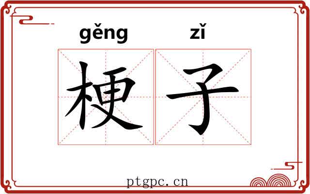 梗子 梗子