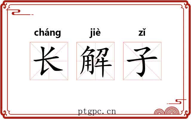 长解子 长解子