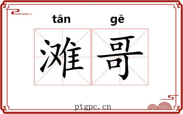 滩哥