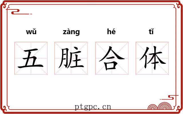 五脏合体 五脏合体