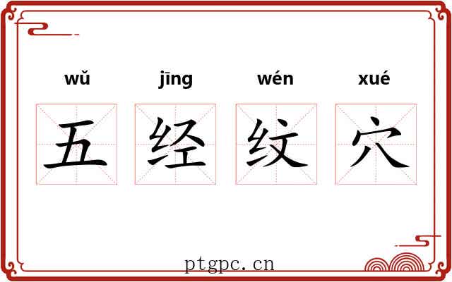 五经纹穴 五经纹穴