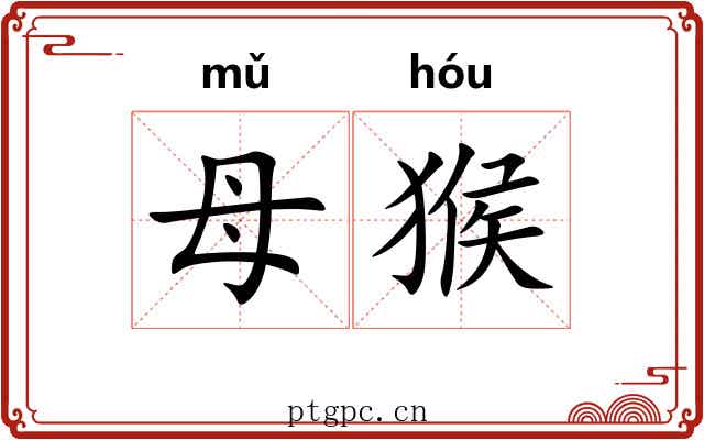 母猴