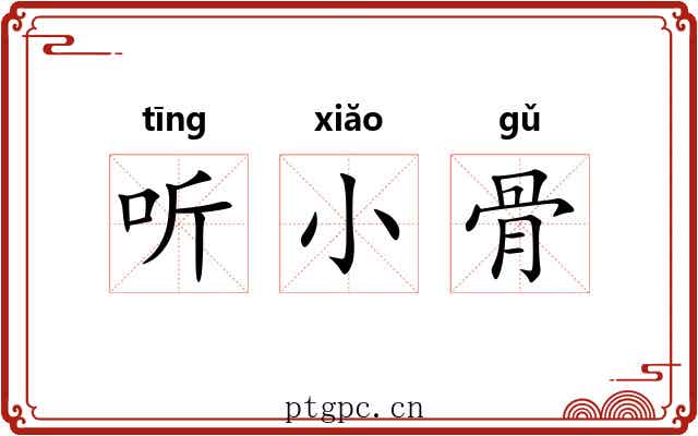 听小骨 听小骨