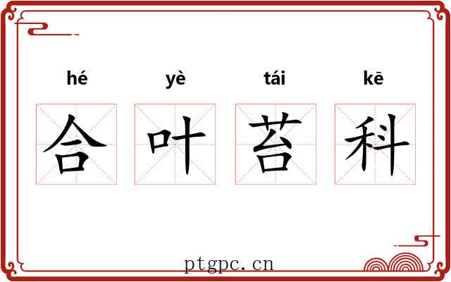 合叶苔科 合叶苔科
