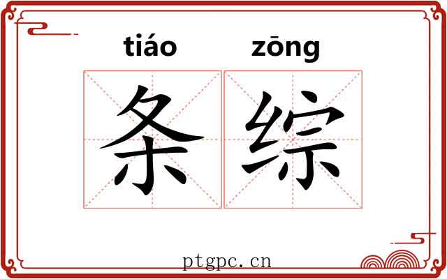 条综