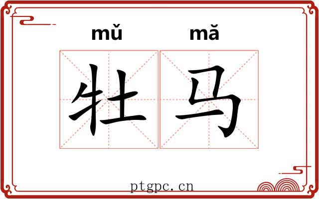 牡马