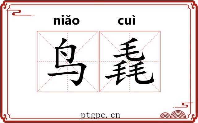 鸟毳