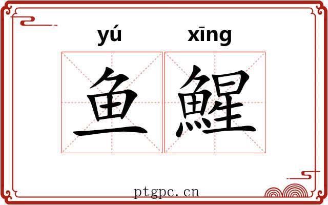 鱼鯹