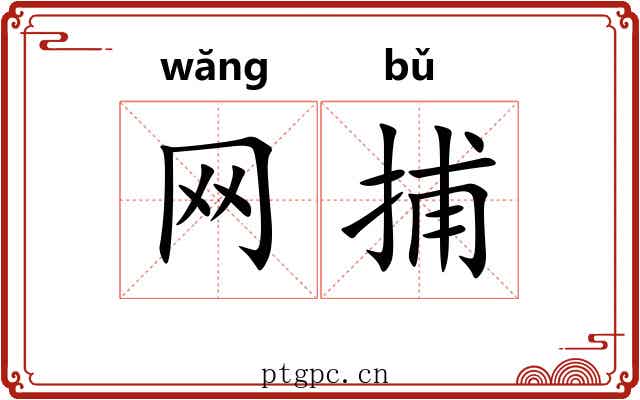 网捕