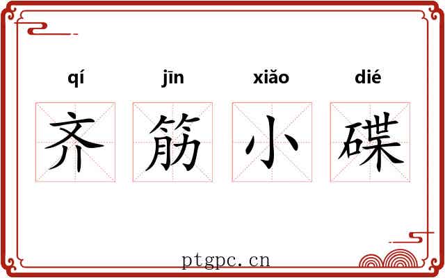 齐筋小碟