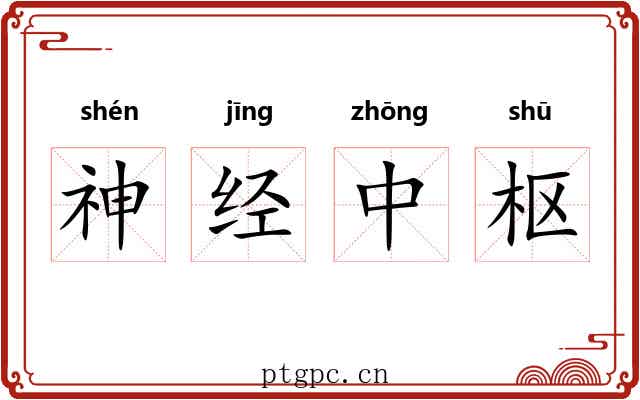 神经中枢 神经中枢