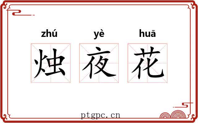 烛夜花 烛夜花