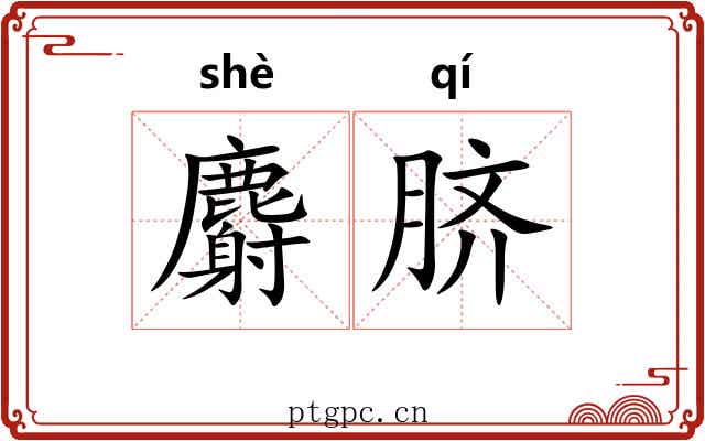 麝脐