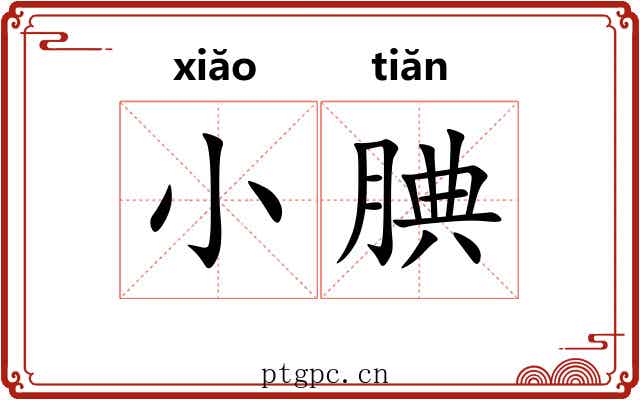 小腆