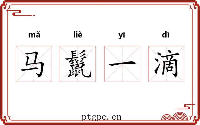 马鬣一滴 马鬣一滴