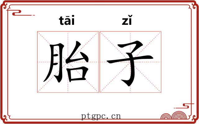 胎子 胎子