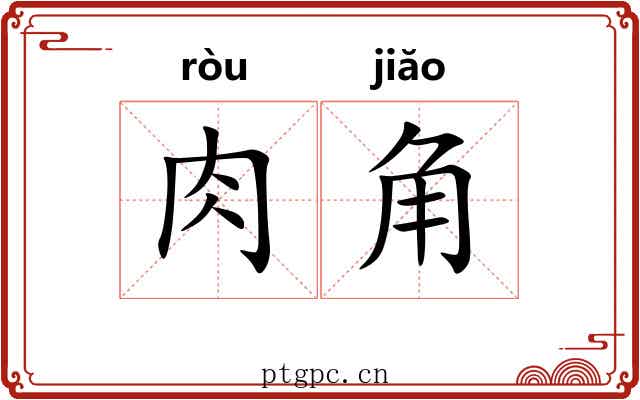 肉角 肉角