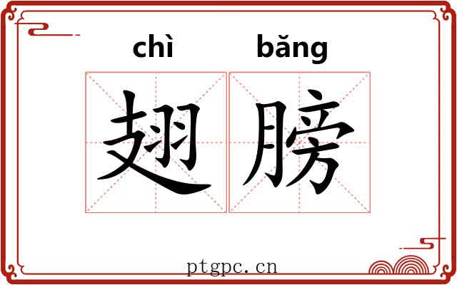 翅膀
