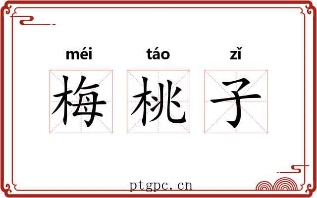 梅桃子 梅桃子