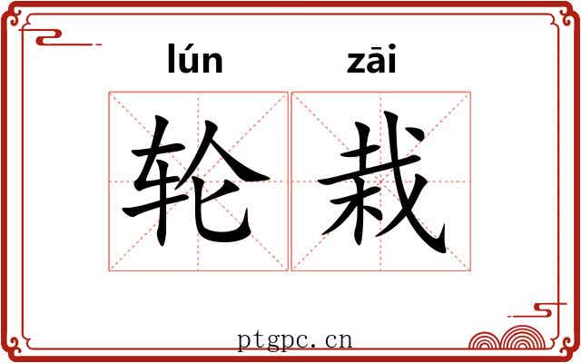 轮栽