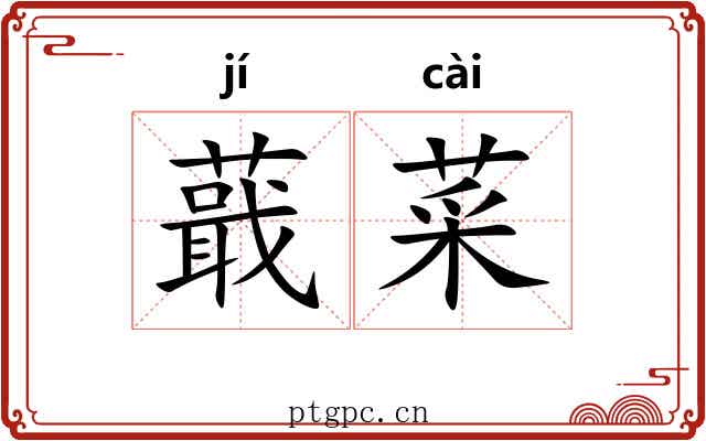 蕺菜