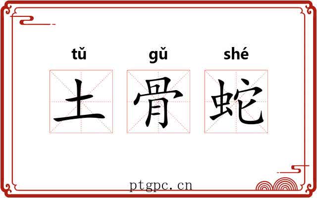土骨蛇 土骨蛇