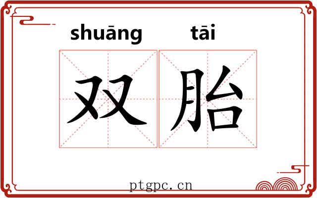 双胎