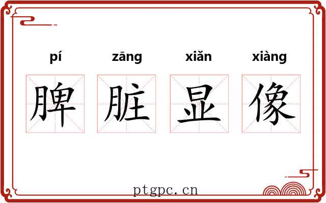 脾脏显像 脾脏显像