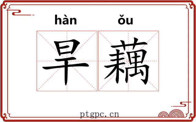 旱藕
