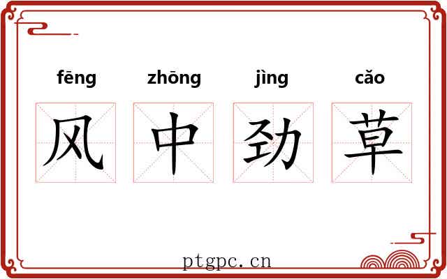 风中劲草