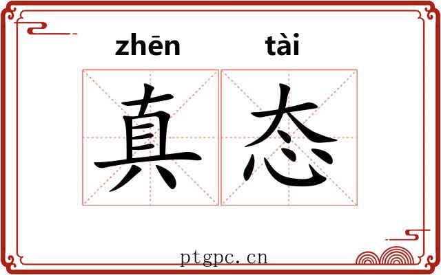 真态