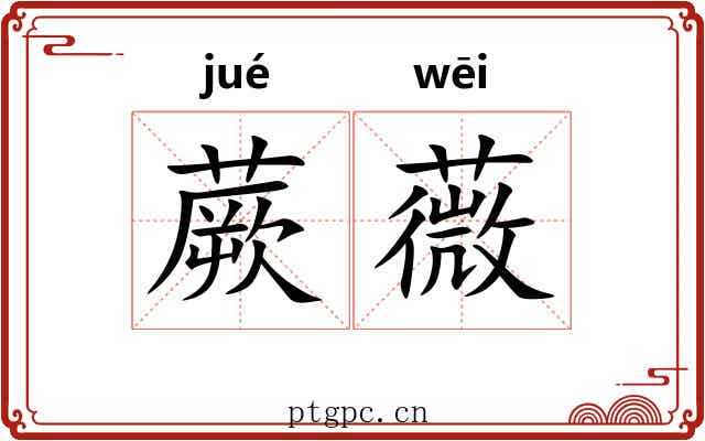 蕨薇