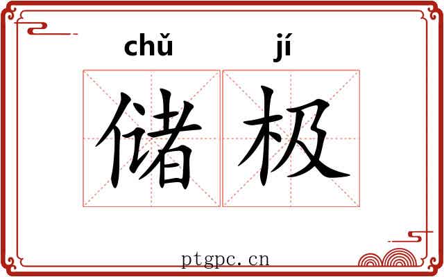 储极