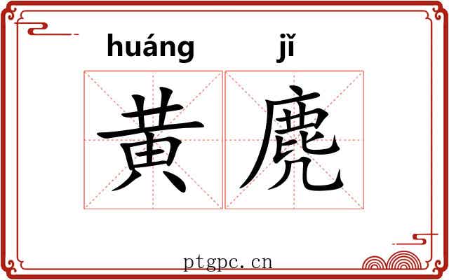 黄麂