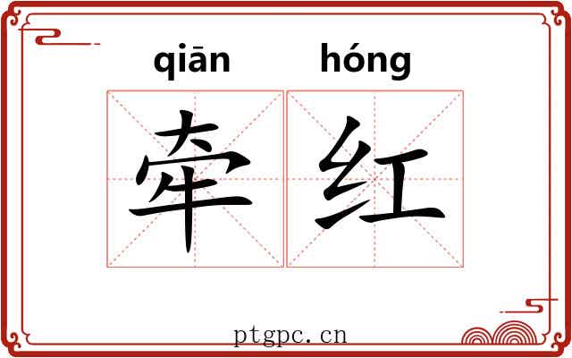 牵红 牵红