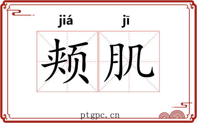 颊肌