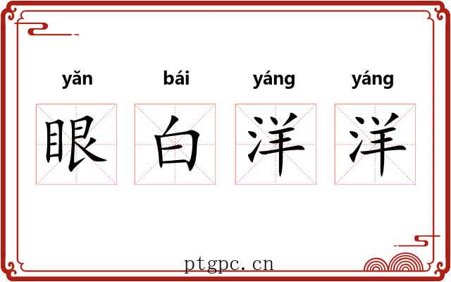 眼白洋洋 眼白洋洋